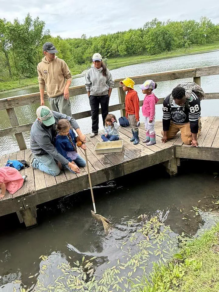Main Street School students observing pond life from a dock during outdoor learning