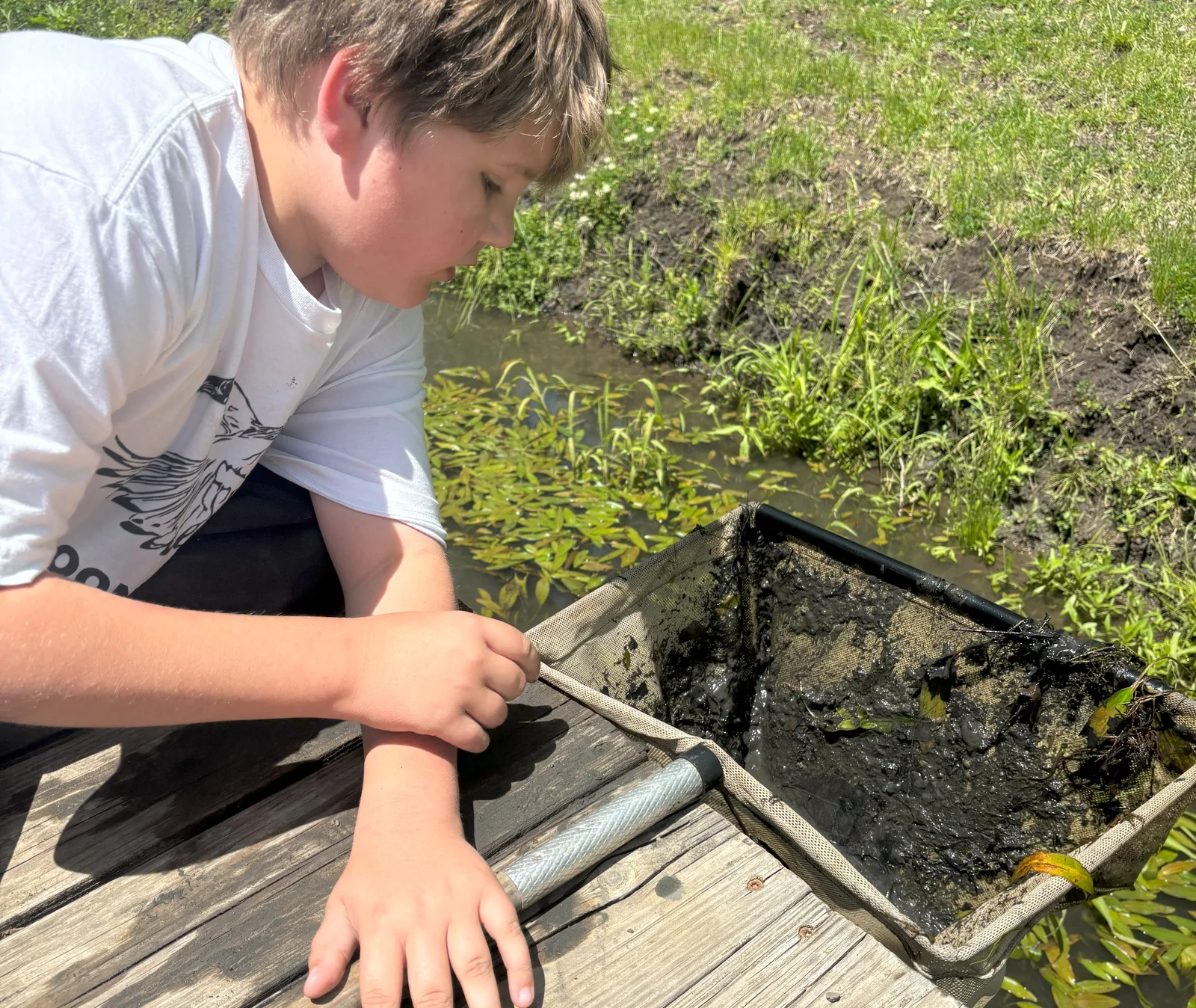 A Main Street School middle school student examining a pond sample during outdoor study